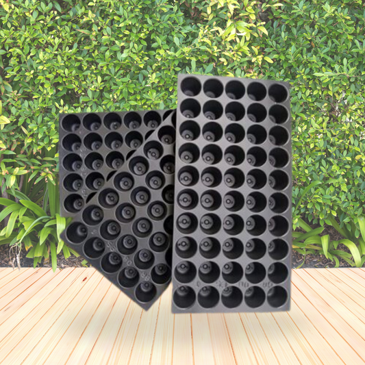 50-hole plastic seedling tray
