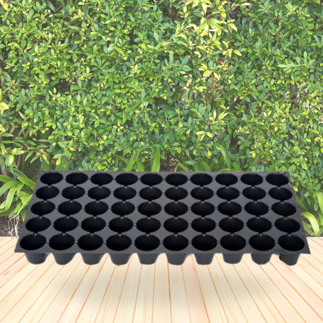 50-hole plastic seedling tray
