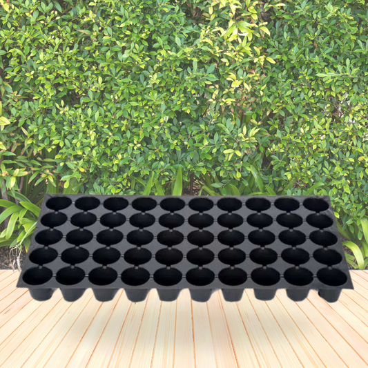 50-hole plastic seedling tray
