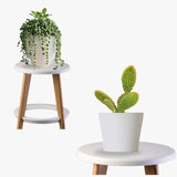 Work Desk Companion (Cactus,String of Pearls)