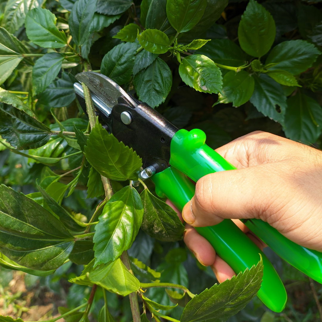 GardenGram Pro Anvil Pruning Shear cutting a plasnttem cleanly