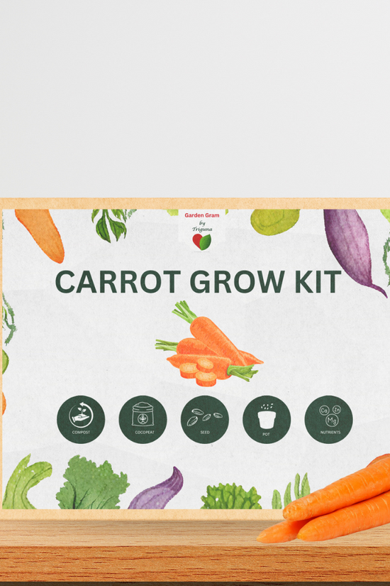 Vegetable seed kit - Carrot

