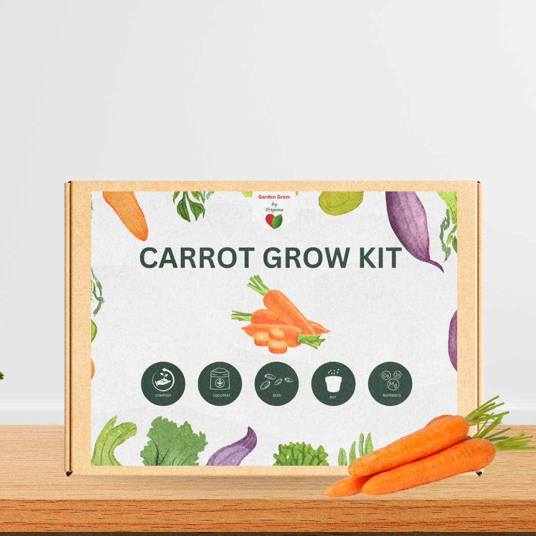 Vegetable seed kit - Carrot
