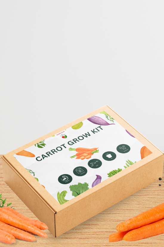 Vegetable seed kit - Carrot
