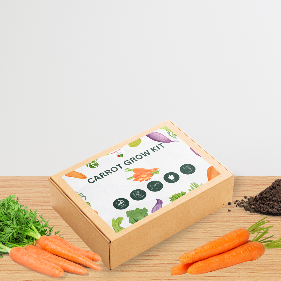 Vegetable seed kit - Carrot

