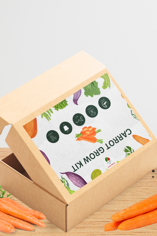 Vegetable seed kit - Carrot

