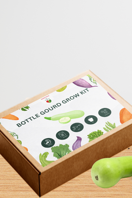 Vegetable seed kit - Bottle gourd