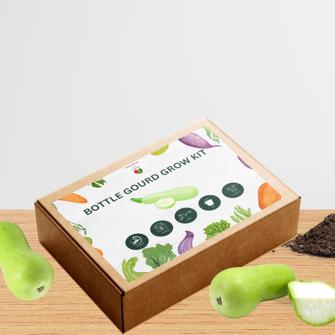 Vegetable Seed Kit - Bottle Gourd