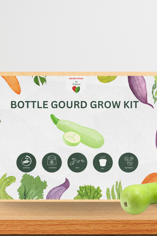 Vegetable seed kit - Bottle gourd