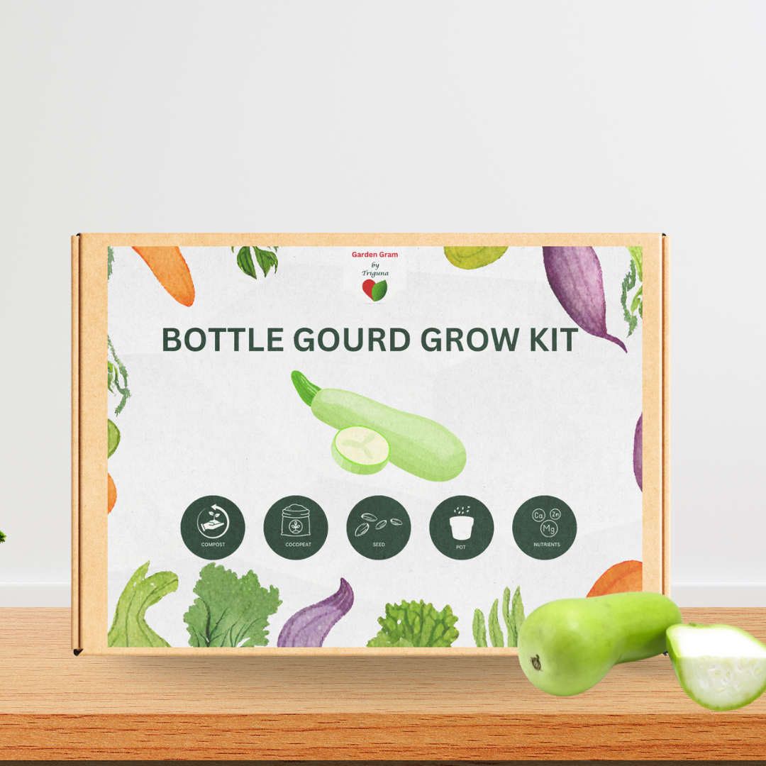 Vegetable seed kit - Bottle gourd