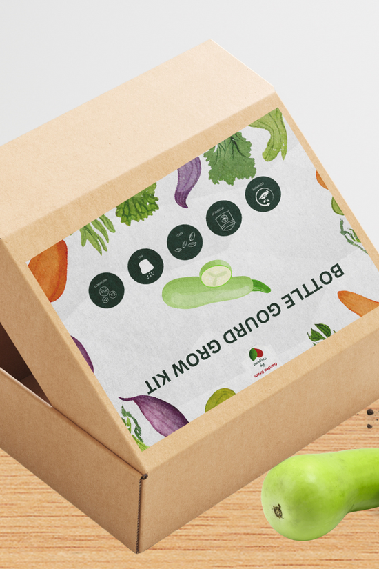 Vegetable seed kit - Bottle gourd