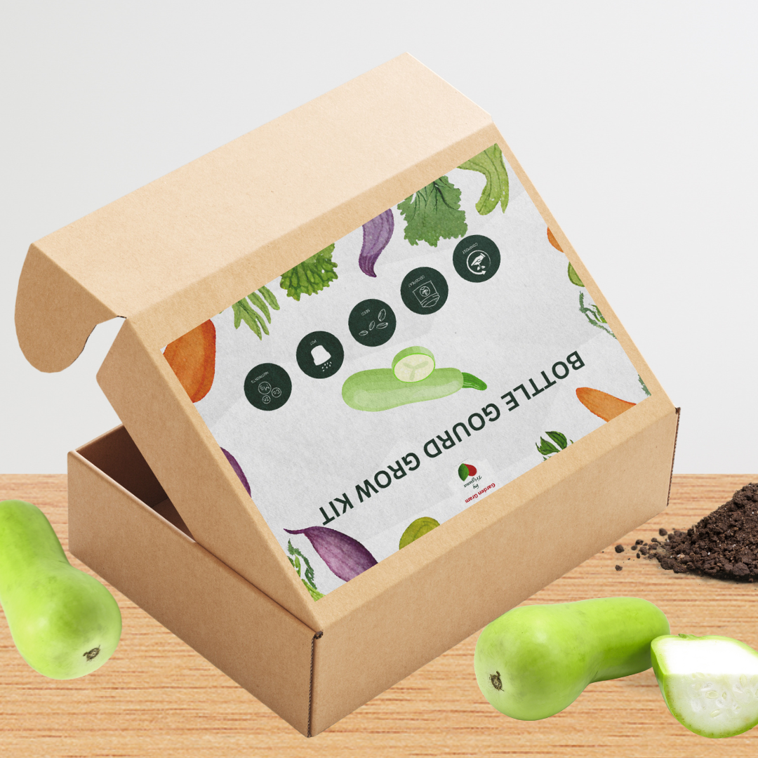 Vegetable seed kit - Bottle gourd