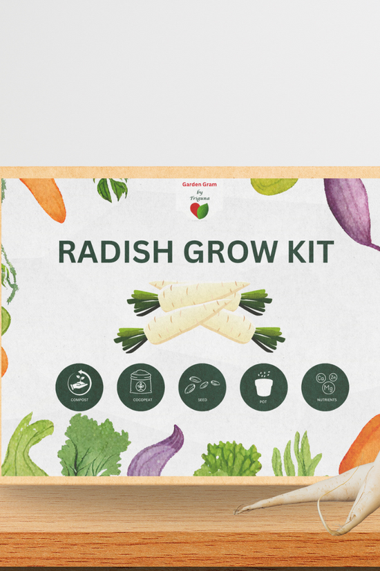 Vegetable seed kit - Radish
