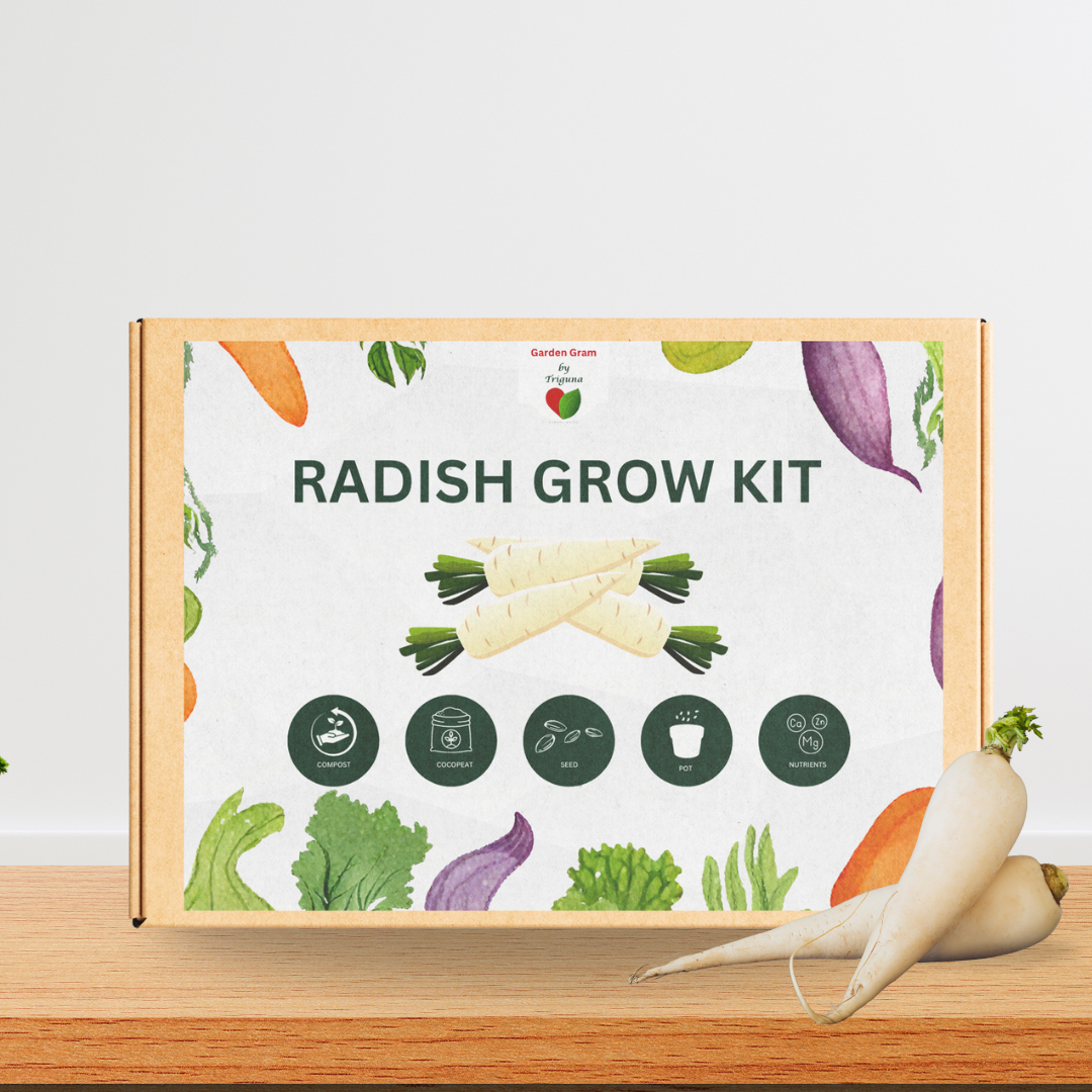 Vegetable Seed Kit - Radish