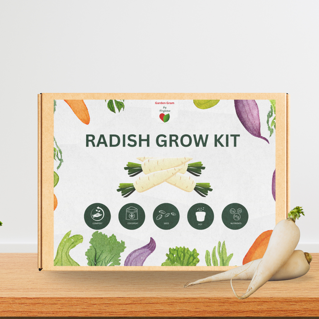 Vegetable seed kit - Radish
