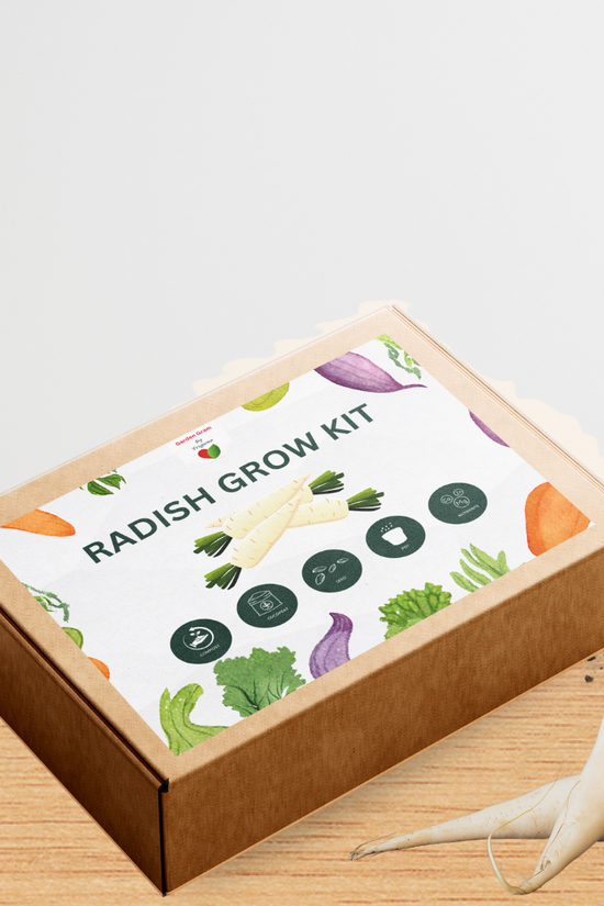 Vegetable seed kit - Radish
