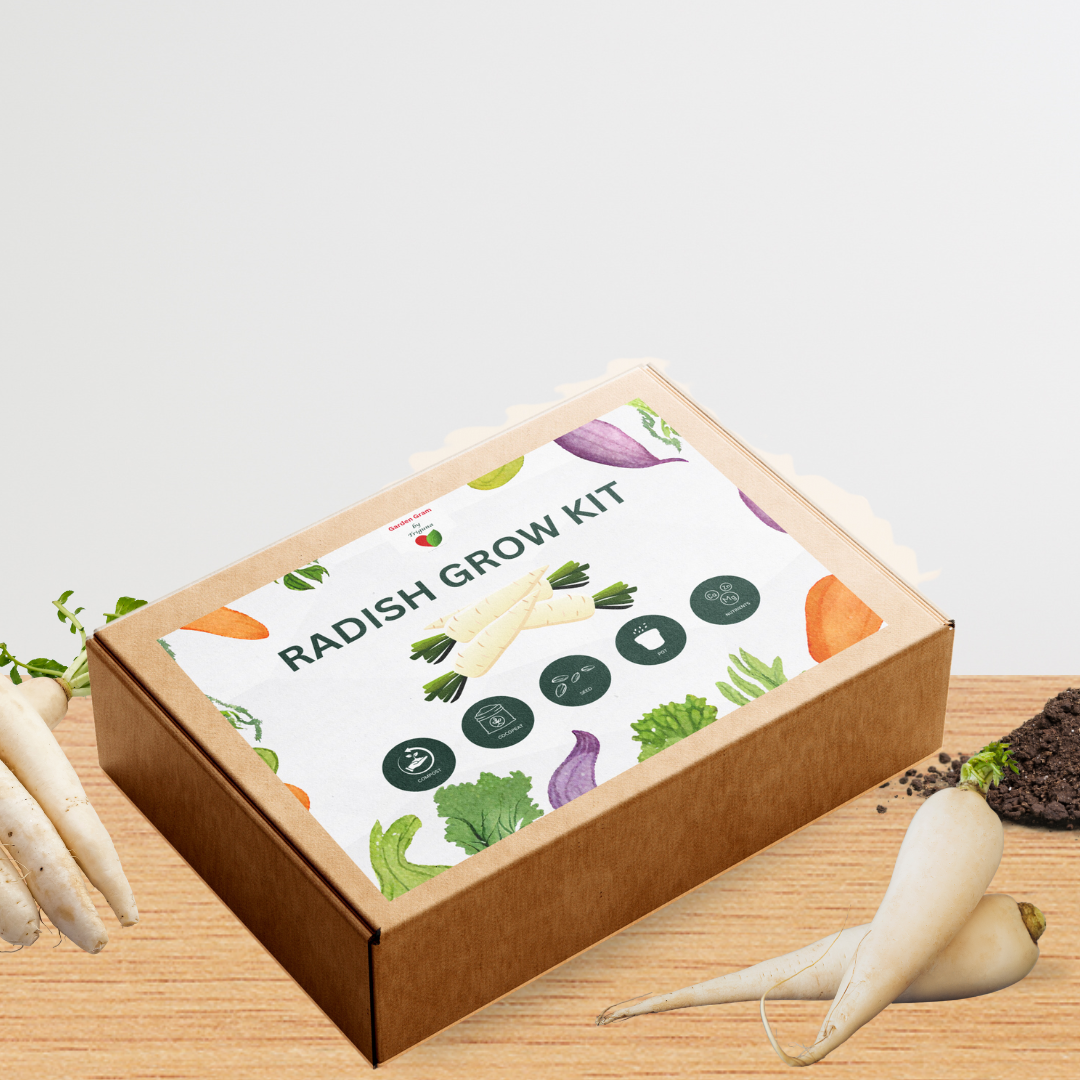 Vegetable seed kit - Radish
