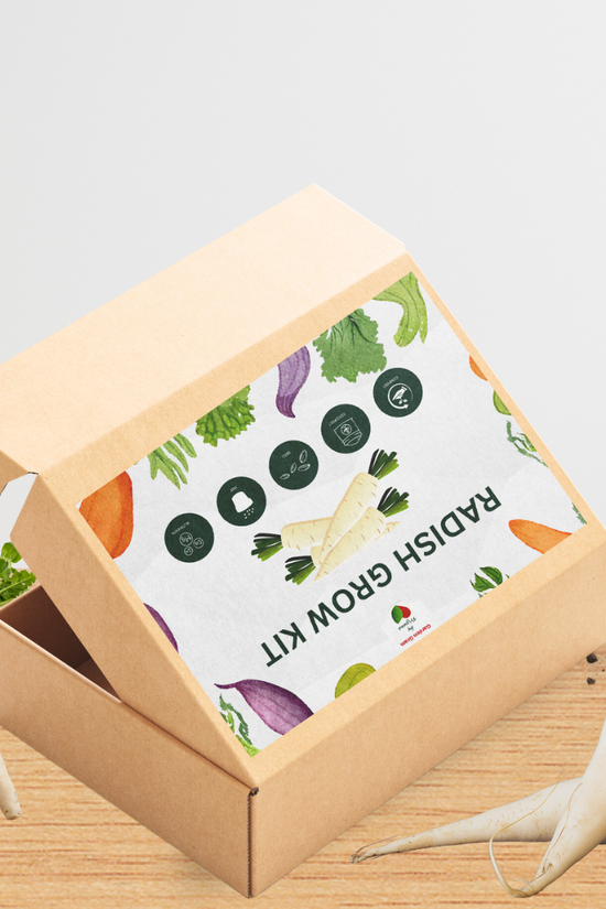 Vegetable seed kit - Radish
