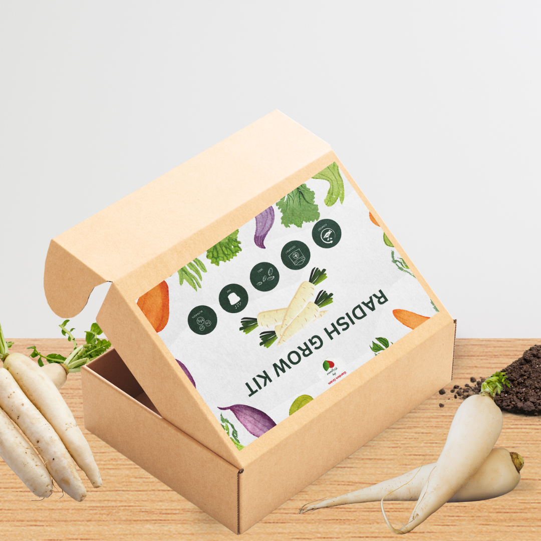 Vegetable seed kit - Radish
