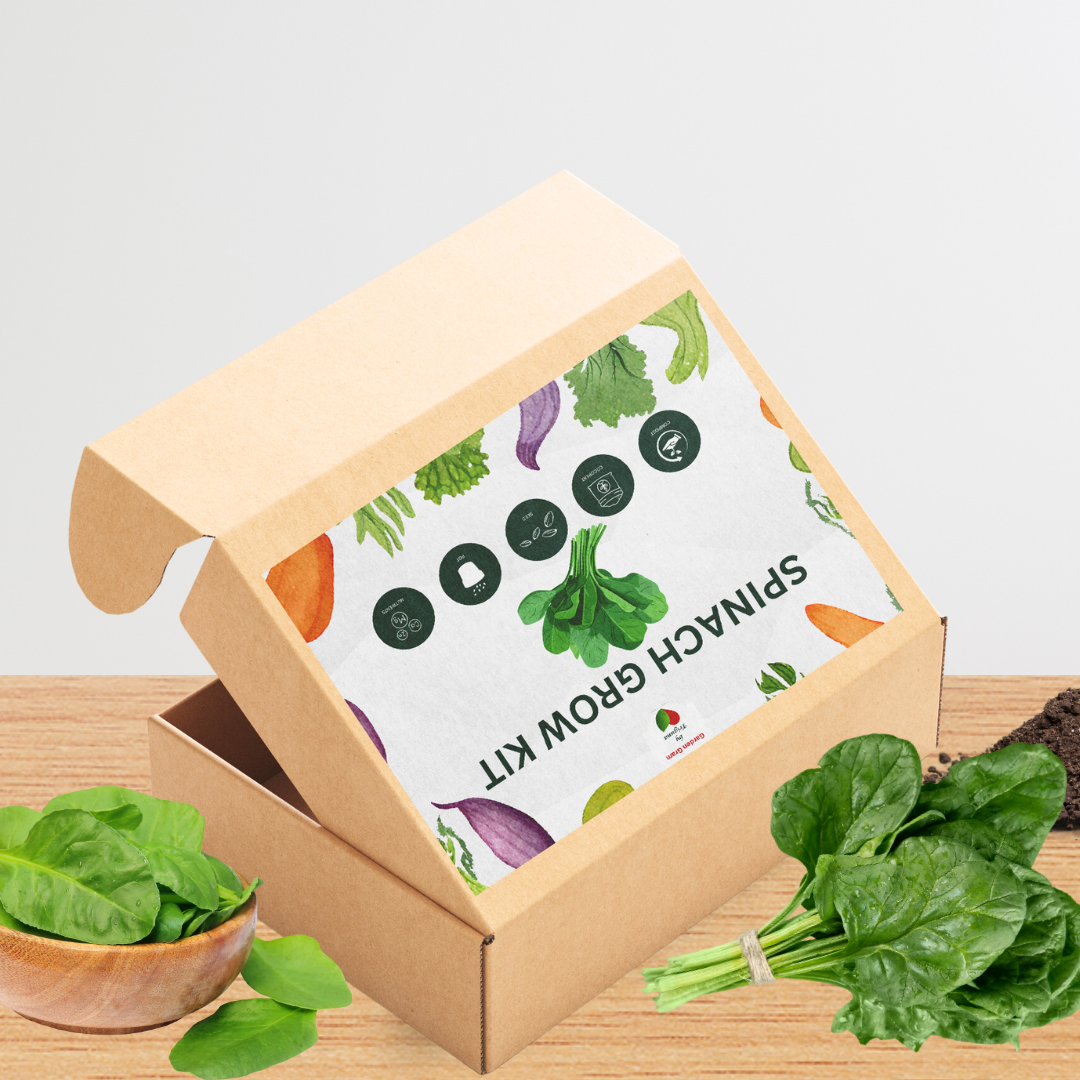 Vegetable Seed Kit - Spinach by Gardengram