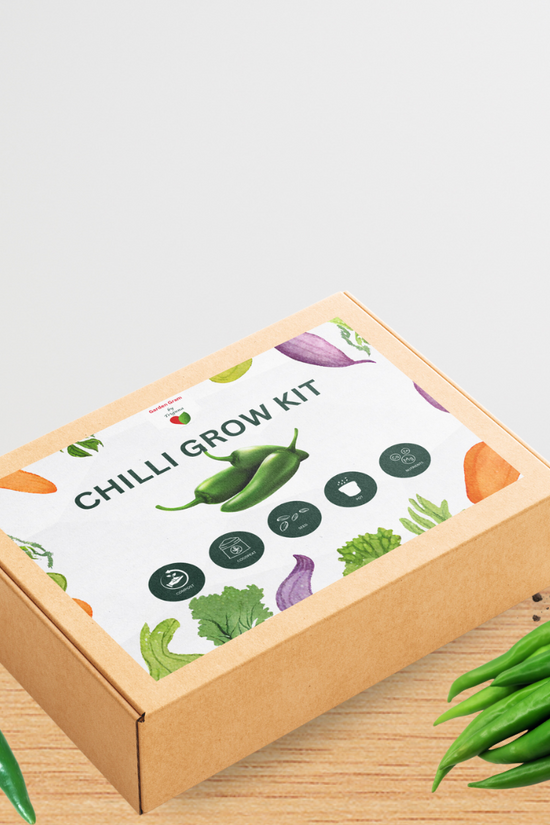 Vegetable seed kit - Chilli
