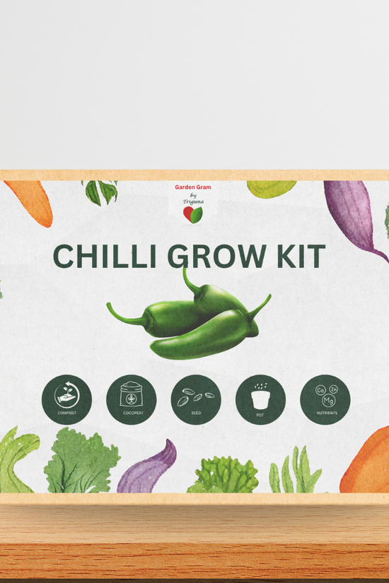 Vegetable seed kit - Chilli
