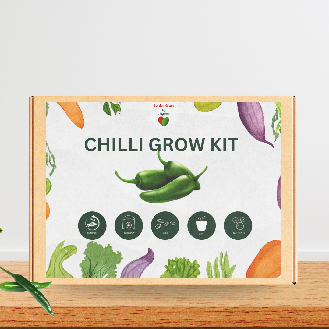 Vegetable seed kit - Chilli
