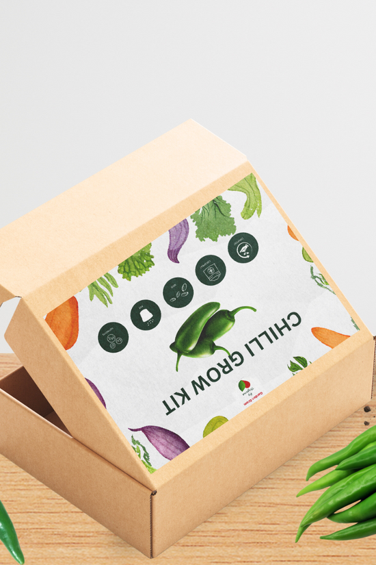 Vegetable seed kit - Chilli
