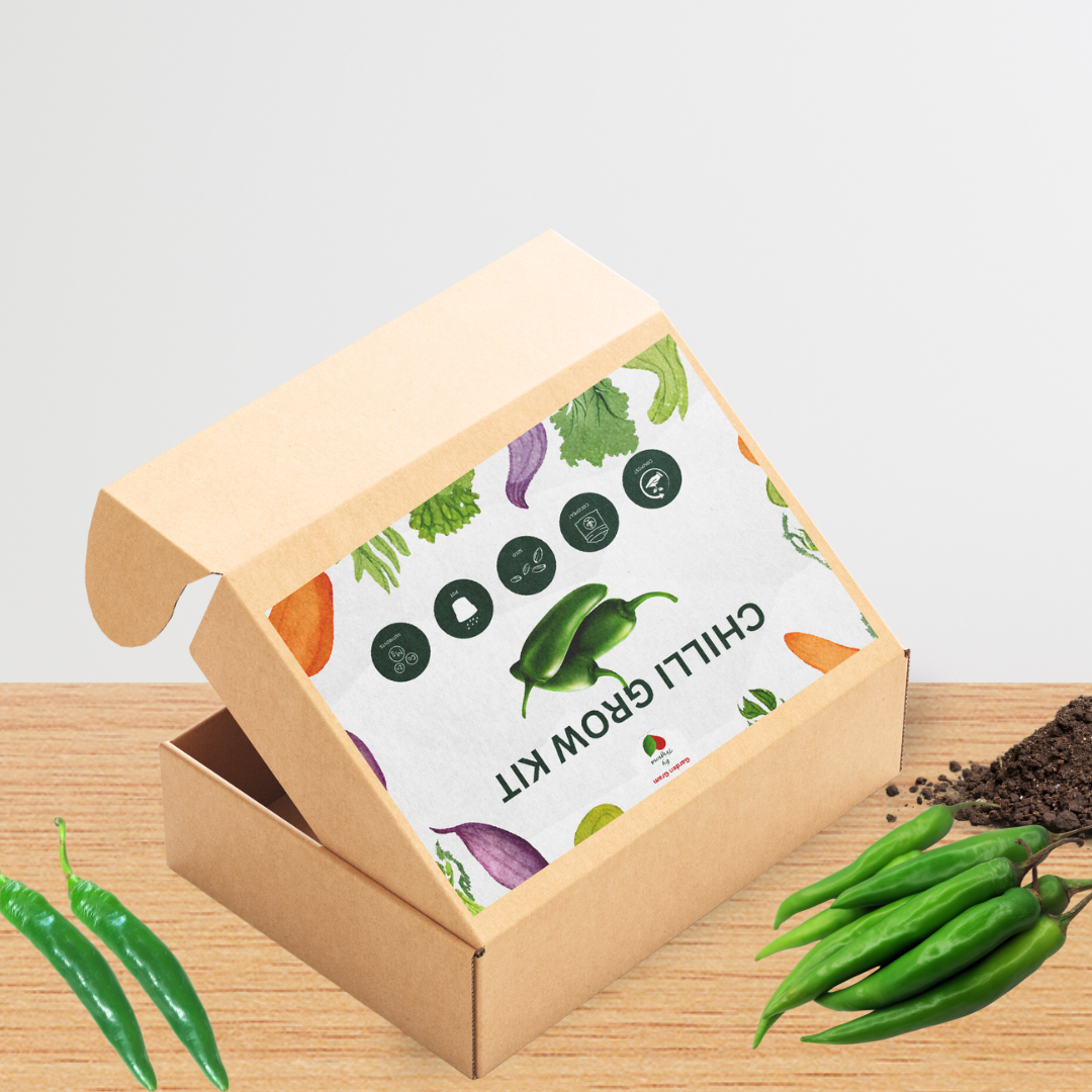 Vegetable seed kit - Chilli
