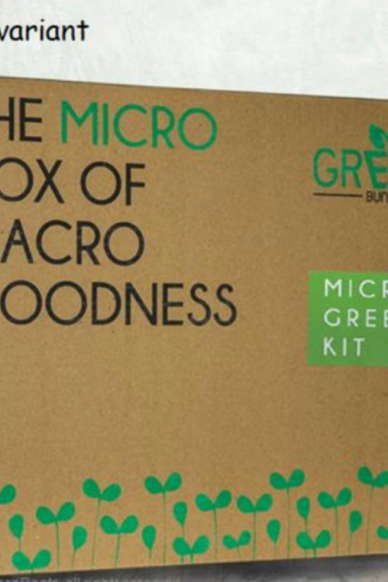 DIY microgreens growing kit
