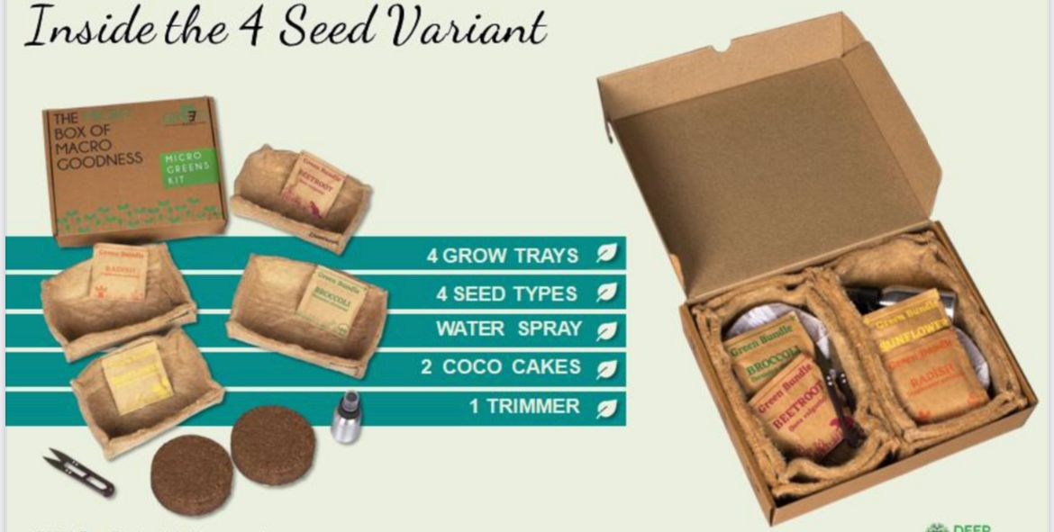 4 seed variant micro greens kit
