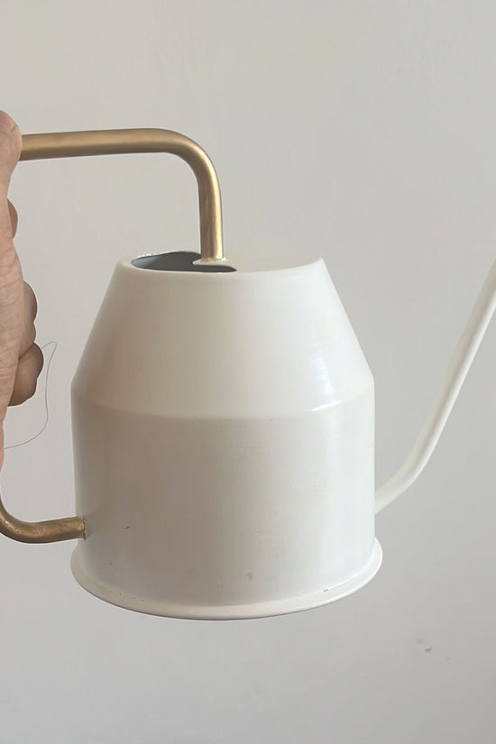 Ivory plastic watering can

