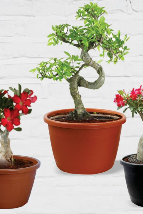 Garden barrel design plastic pot
