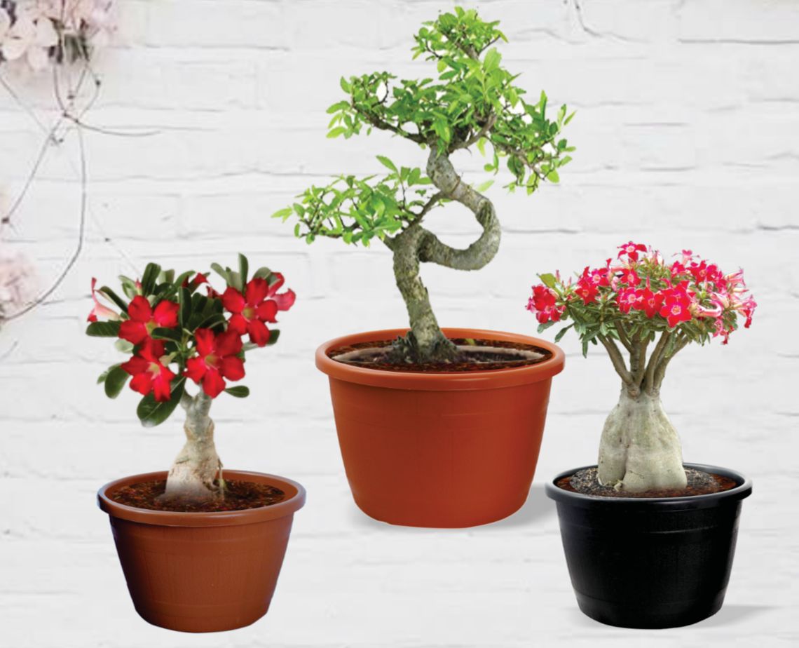 Garden barrel design plastic pot
