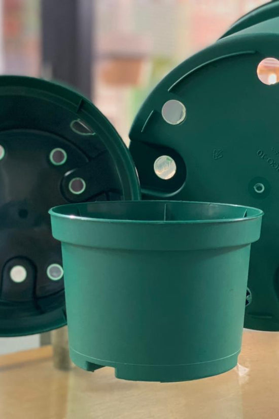 Nature-inspired plastic planter
