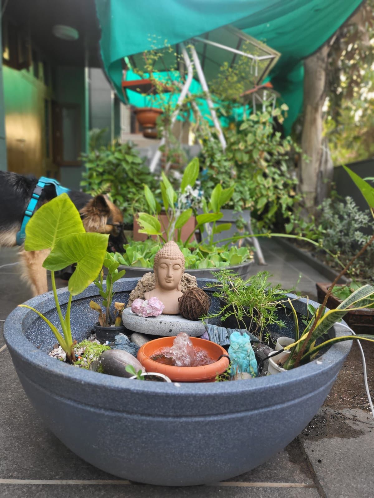 Big fountain-style Jasper plastic planter
