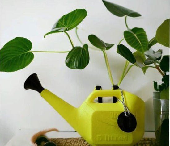 5-liter green gardening watering can
