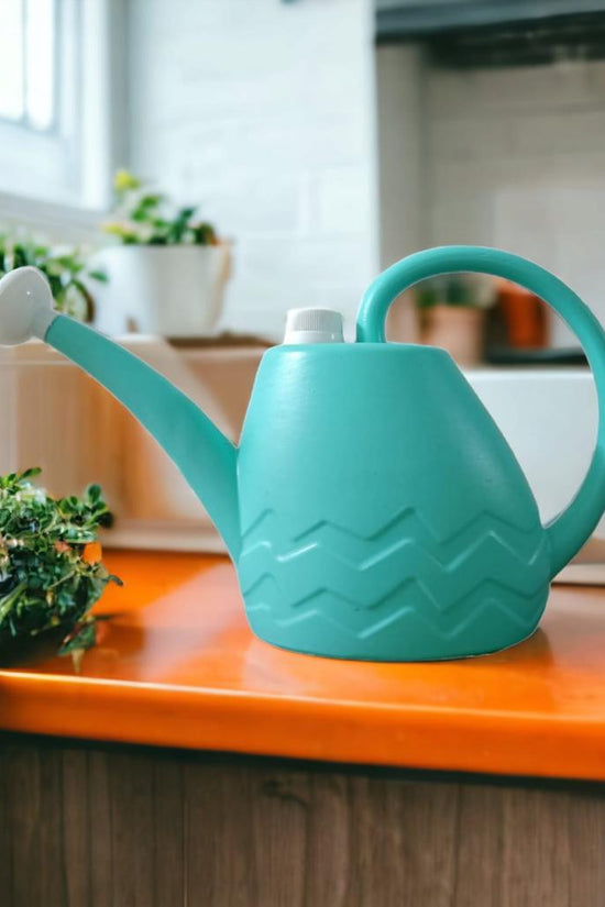 2-liter watering can - lightweight
