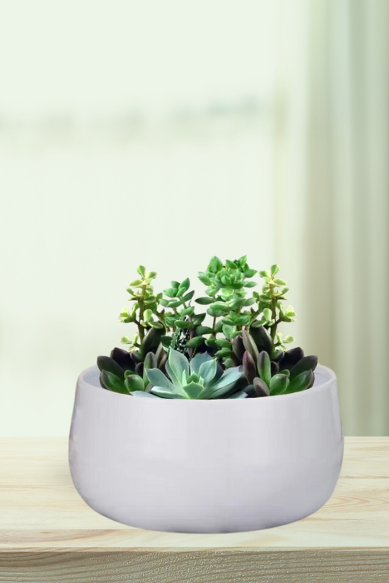 Decorative indoor metal flower pot
