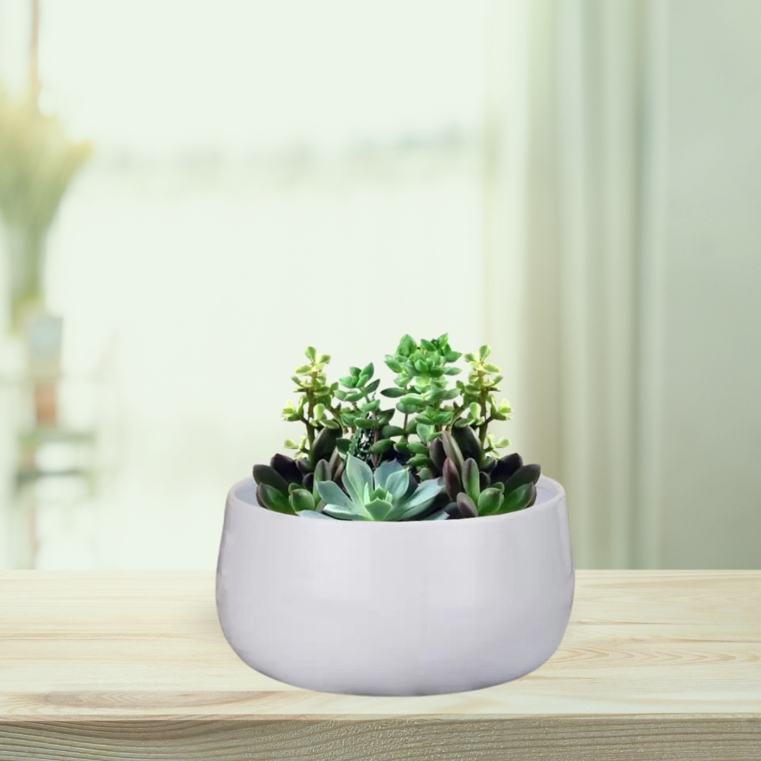 Decorative indoor metal flower pot
