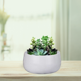 Metal Planter Pot For Indoor Plants