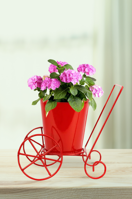 Iron pot stand with 2 wheels
