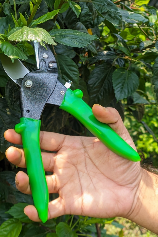 Hand holding green gardening shears against a background of green leaves