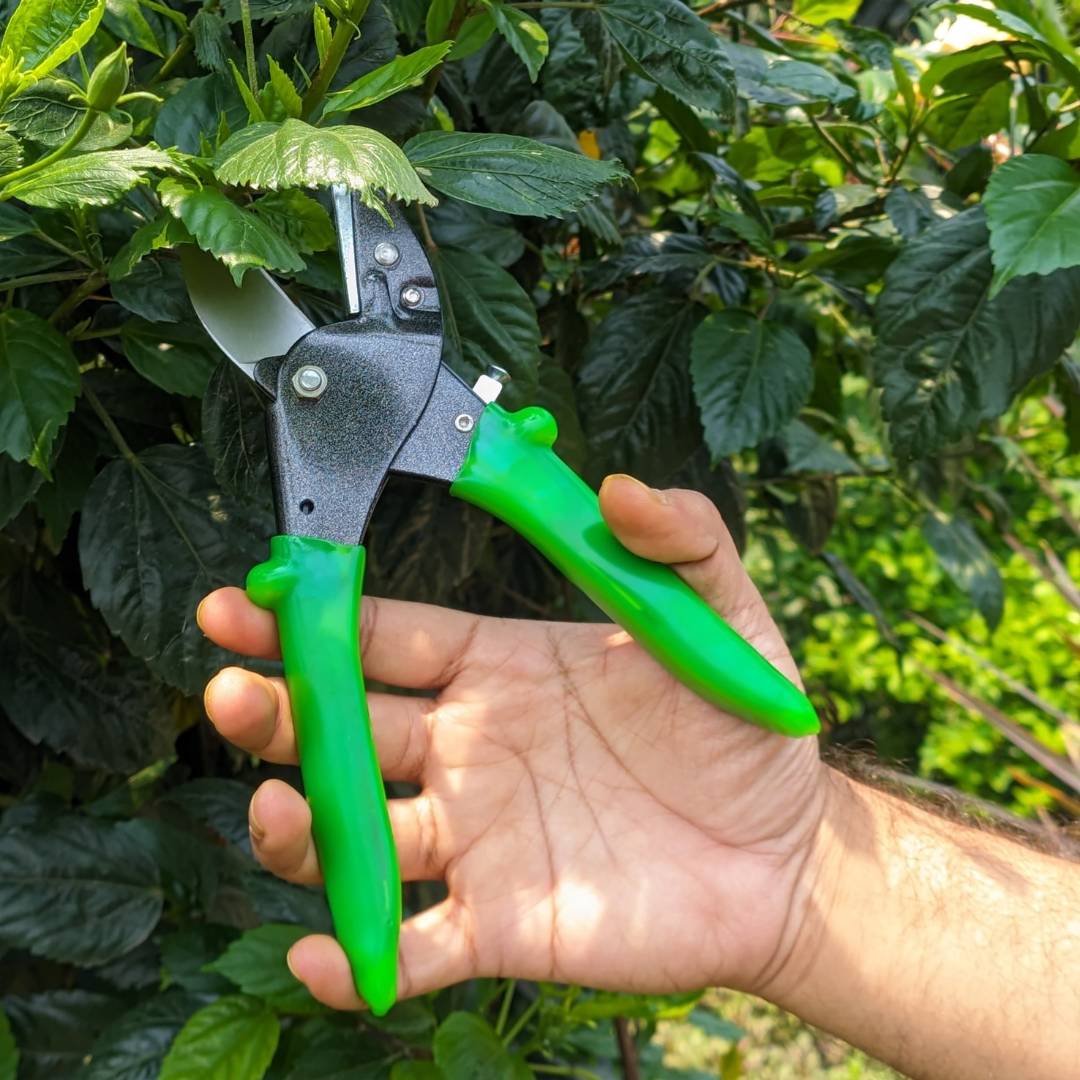 Hand holding green gardening shears against a background of green leaves