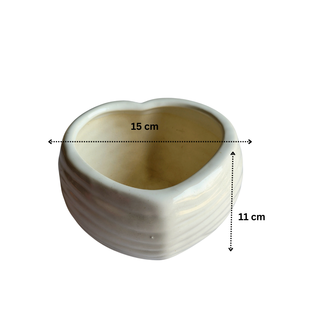 Heart-shaped white ceramic planter for indoor plants