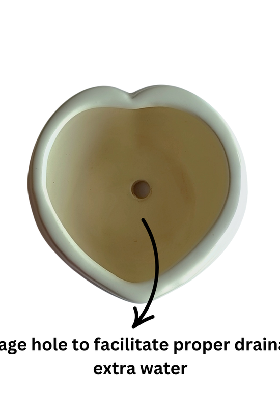 Heart-shaped white ceramic planter for indoor plants