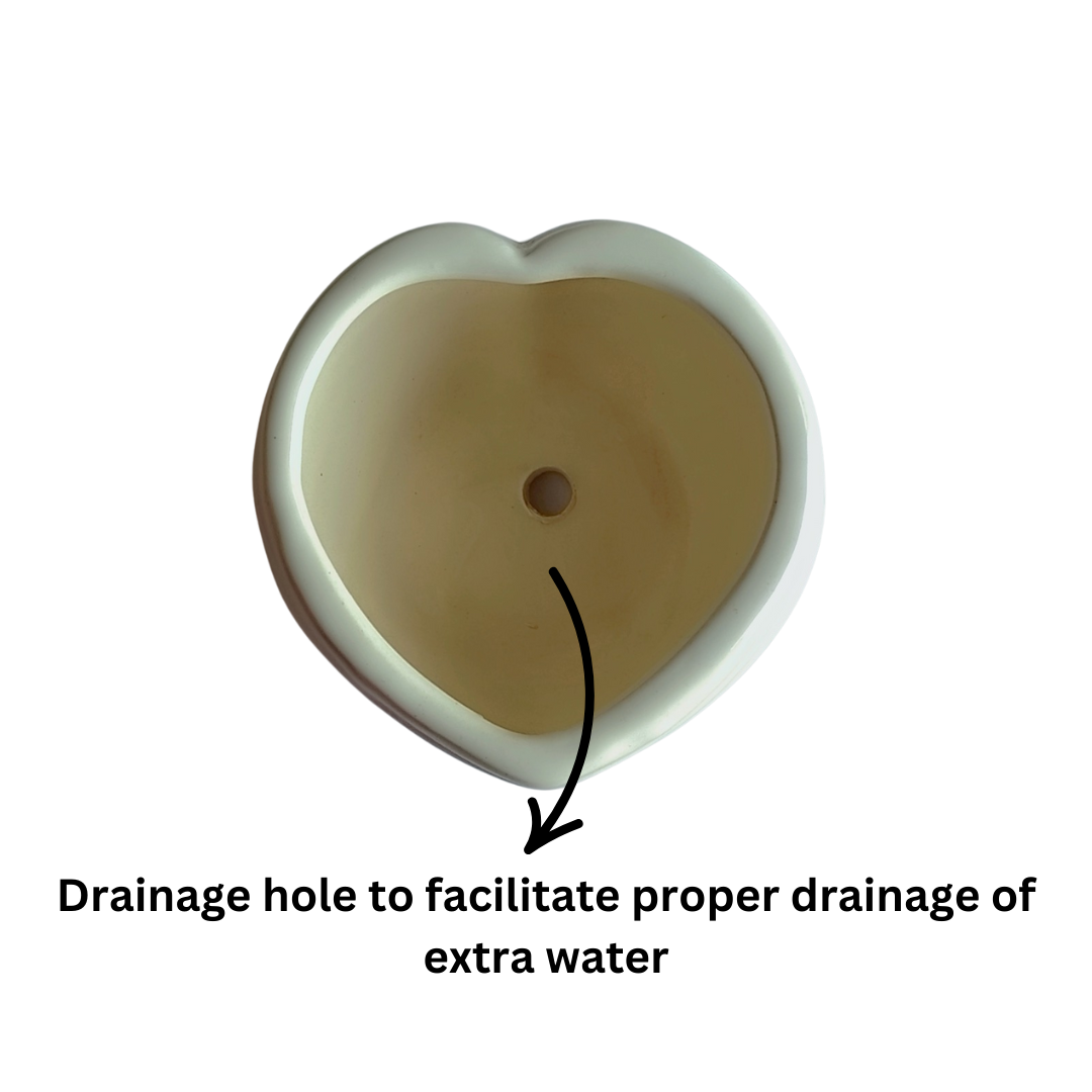 Heart-shaped white ceramic planter for indoor plants