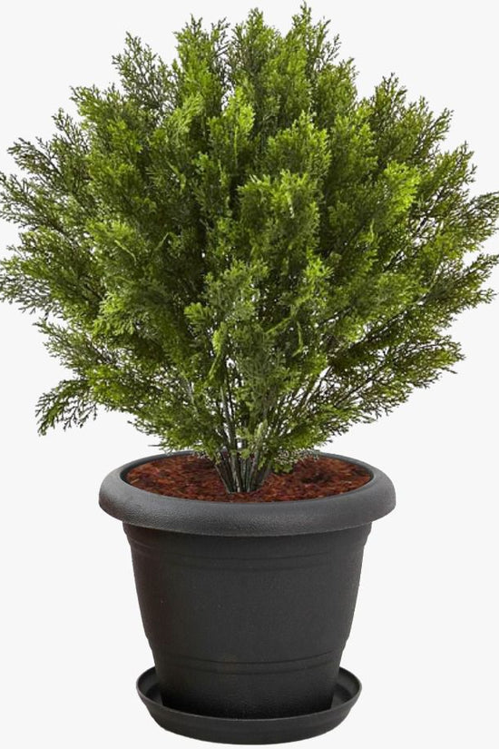 Star design decorative plant pot
