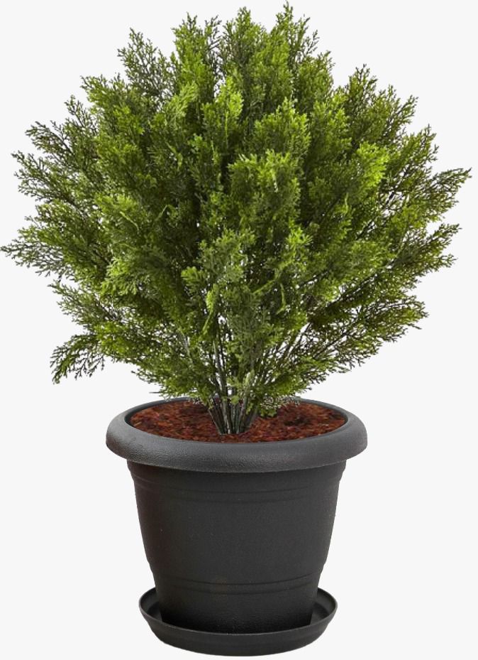 Star design decorative plant pot
