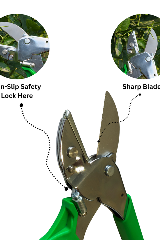 Showing pruning shears with close-up highlights